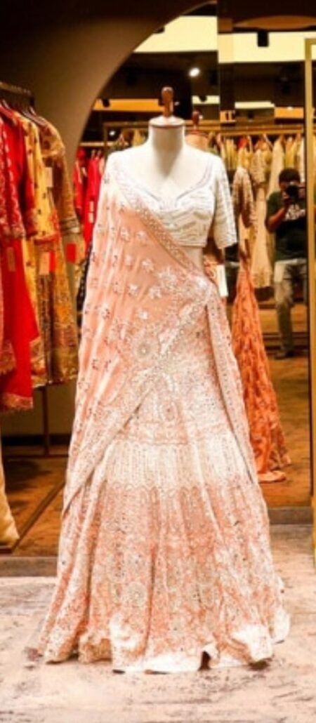 Women’s Blush Pink Embroidered Lehenga Saree with Blouse